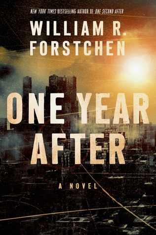 One Year After Book