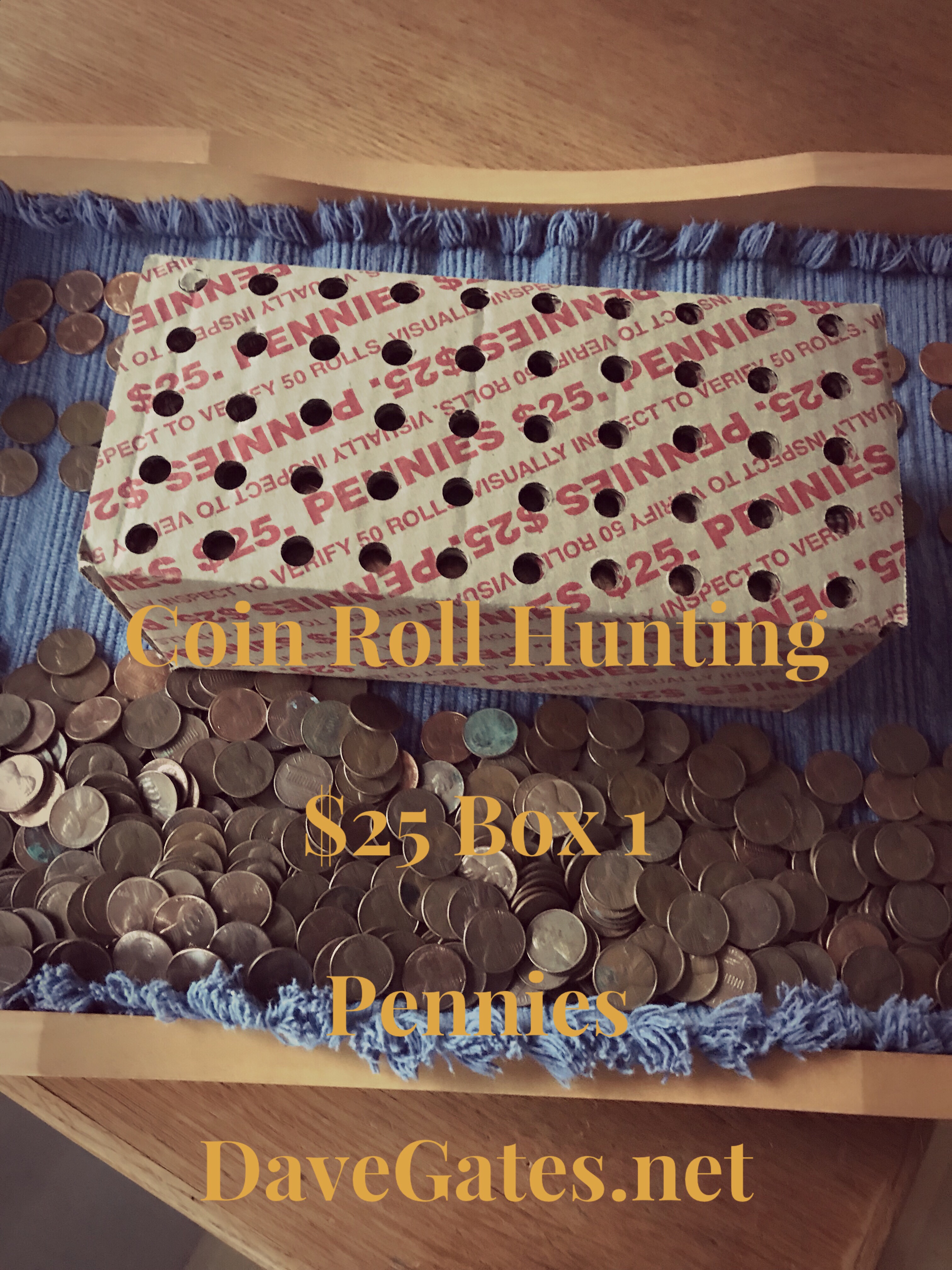 Coin Roll Hunting $25 in Pennies - Box 1