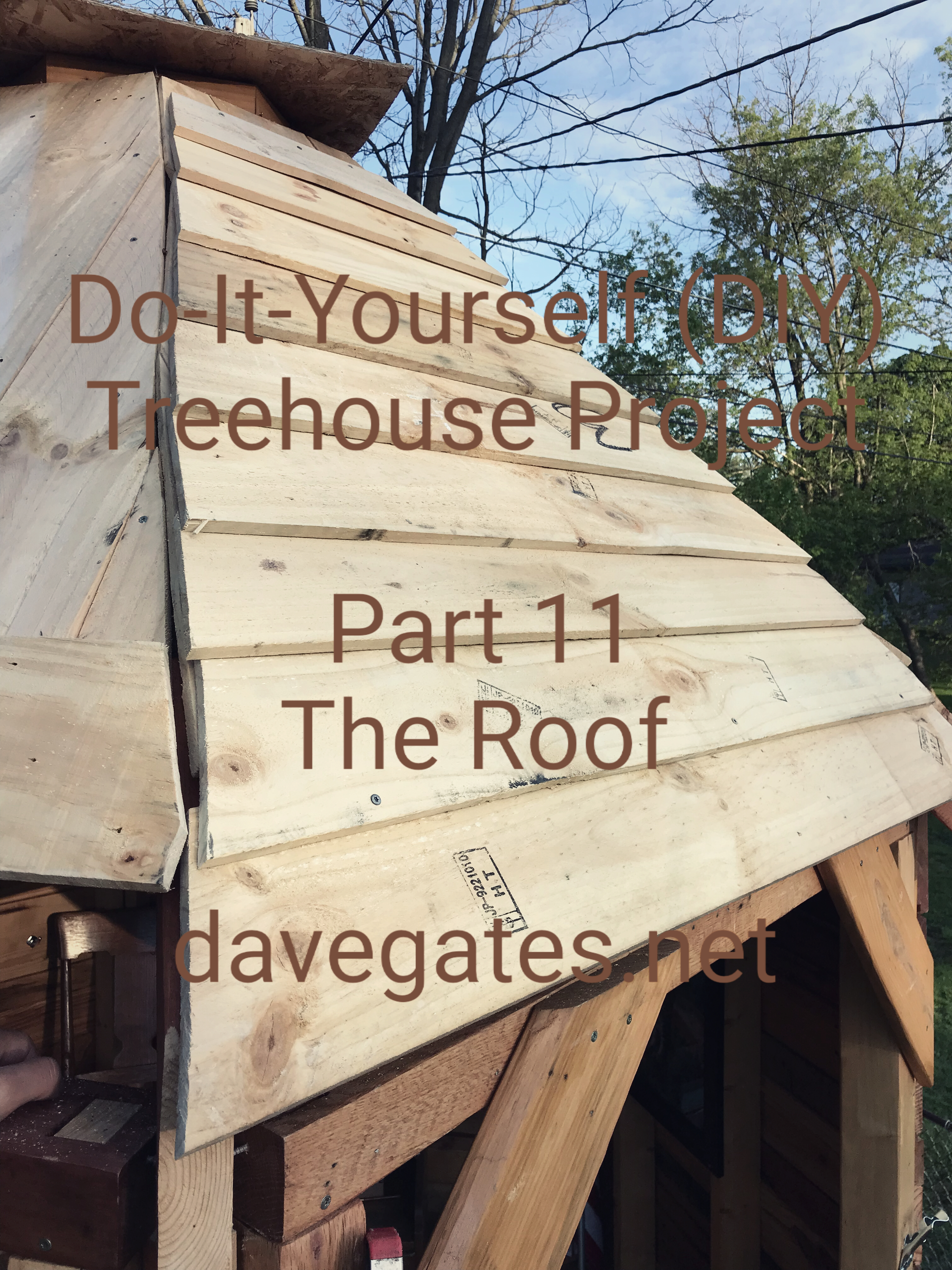 Do-It-Yourself Treehouse Part 11 - The Roof